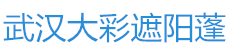 大彩遮陽(yáng)蓬